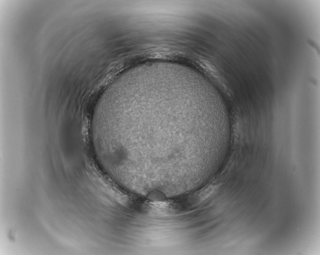 X0000099380265200805291135