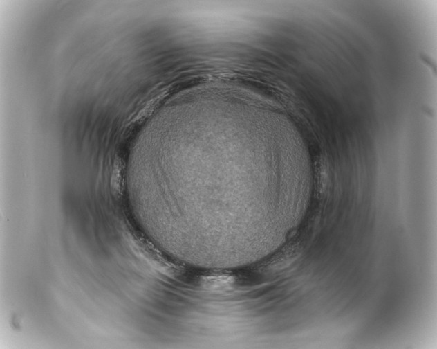 X0000099380266200805291135