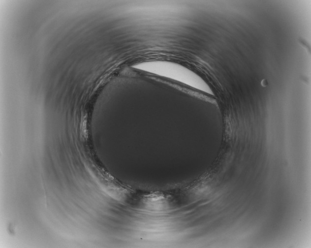 X0000099380267200805291135