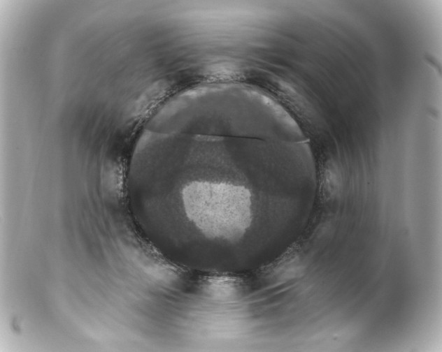 X0000099380268200805291135