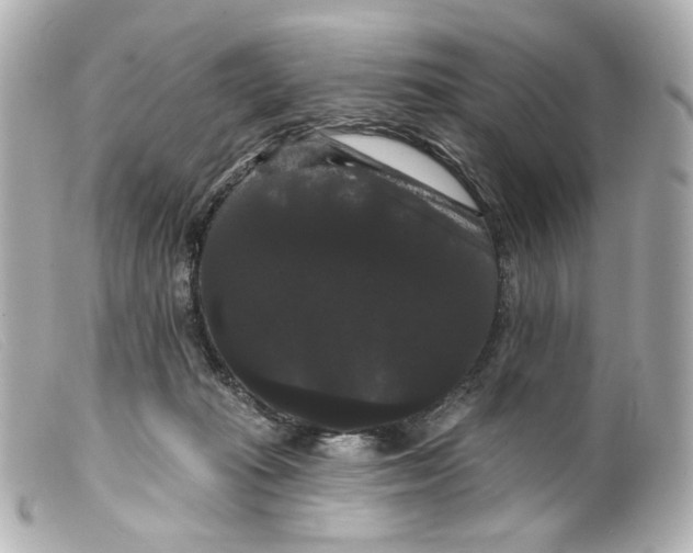 X0000099380269200805291135