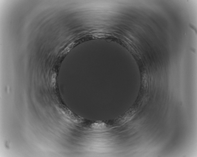 X0000099380271200805291135