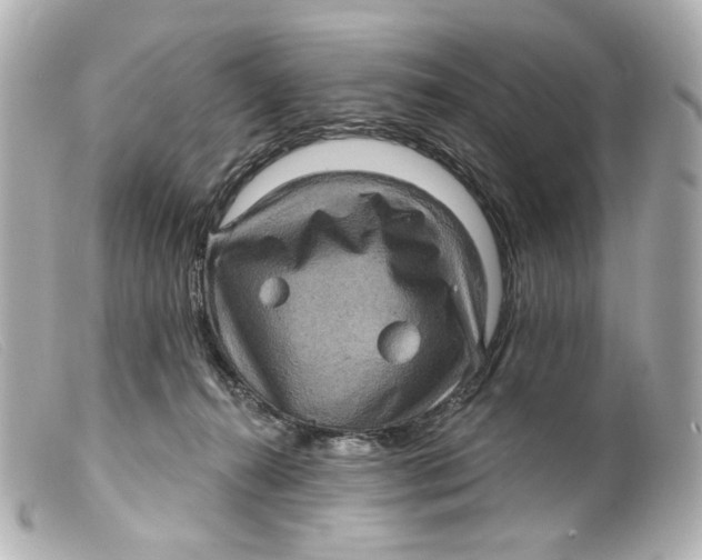 X0000099380272200805291135