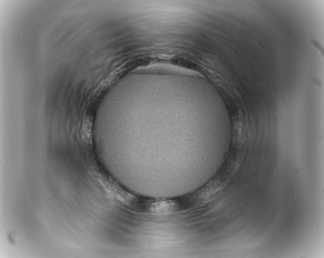 X0000099380274200805291135