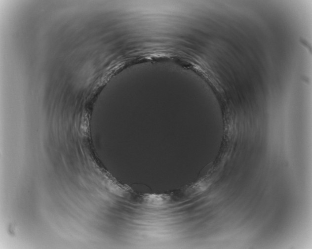 X0000099380277200805291135