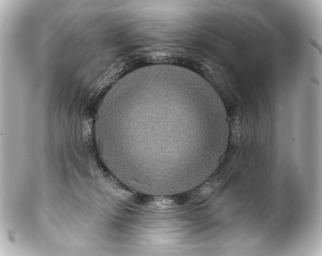 X0000099380278200805291135