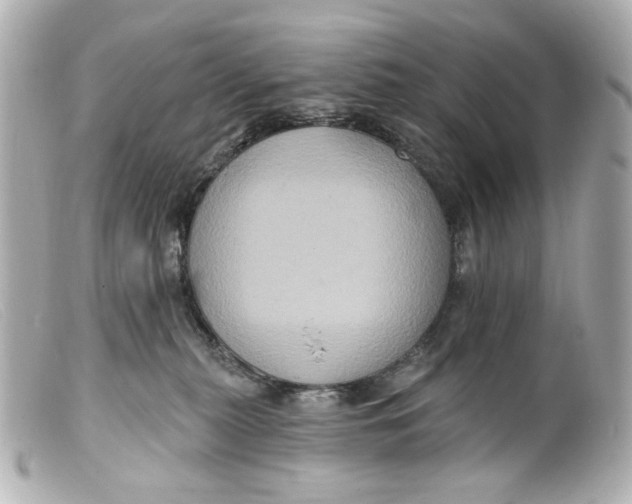 X0000099380279200805291135