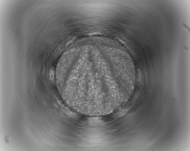X0000099380281200805291135