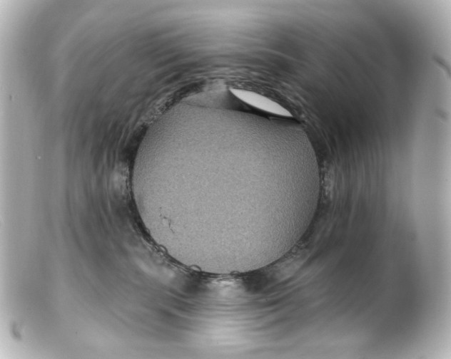 X0000099380283200805291135