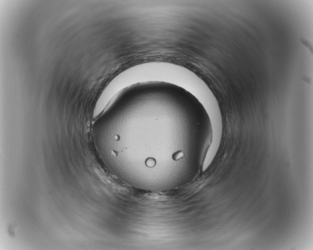 X0000099380284200805291135