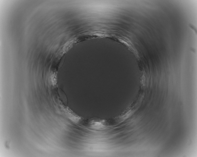 X0000099380285200805291135