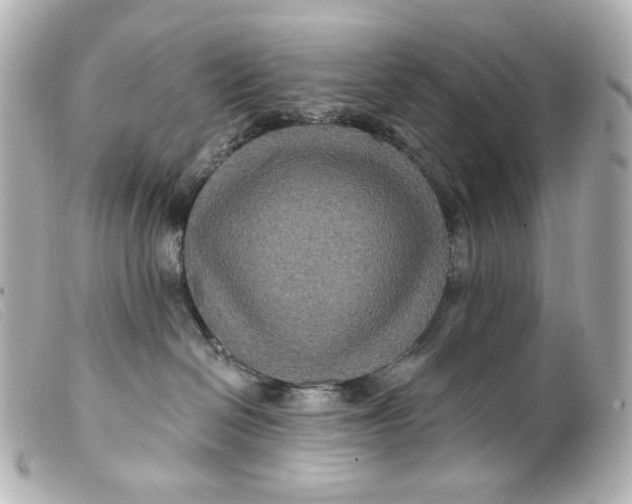 X0000099380286200805291135
