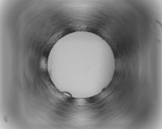 X0000099380287200805291135