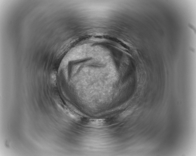 X0000099380288200805291135