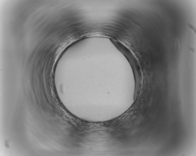 X0000099380289200805291134