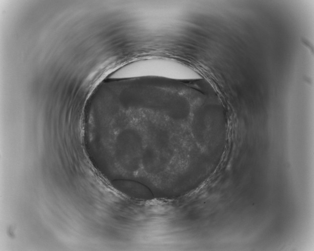 X0000099380290200805291134