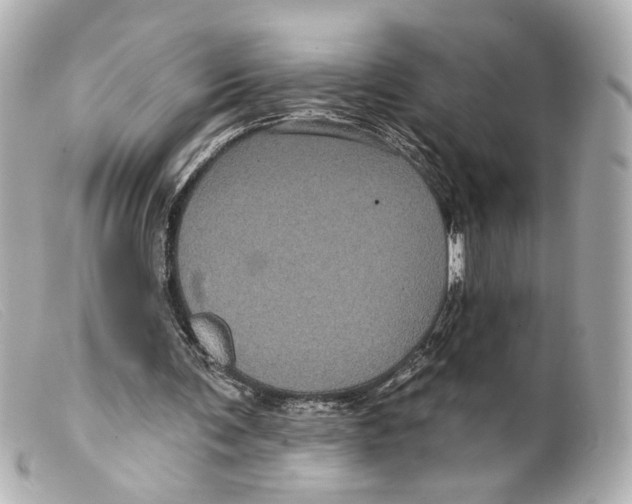 X0000099380291200805291134