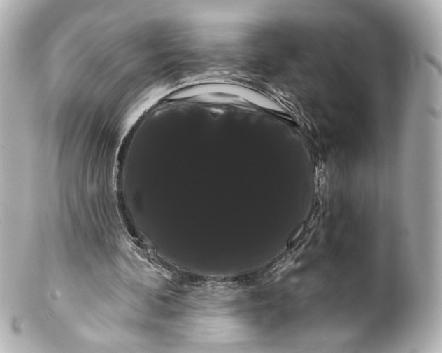 X0000099380292200805291134