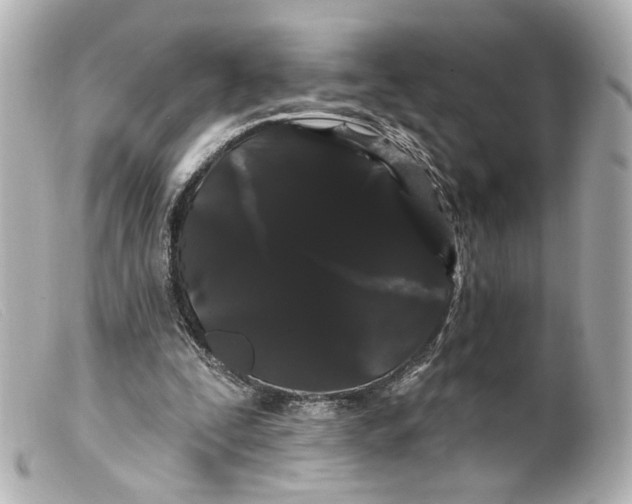 X0000099380295200805291134