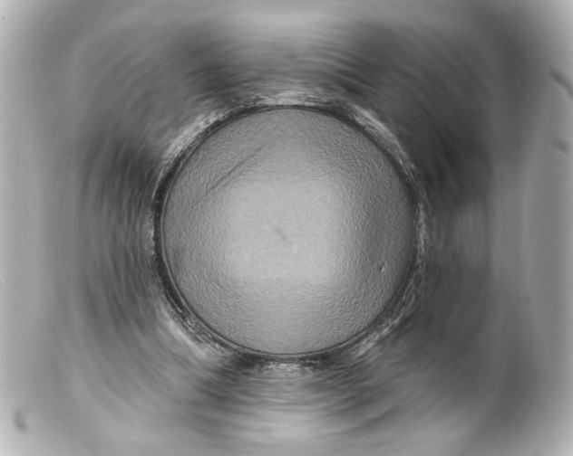 X0000099380298200805291134