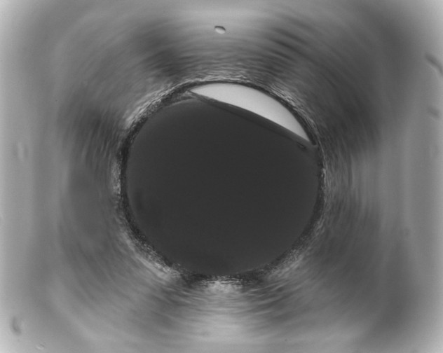 X0000099380303200805291134