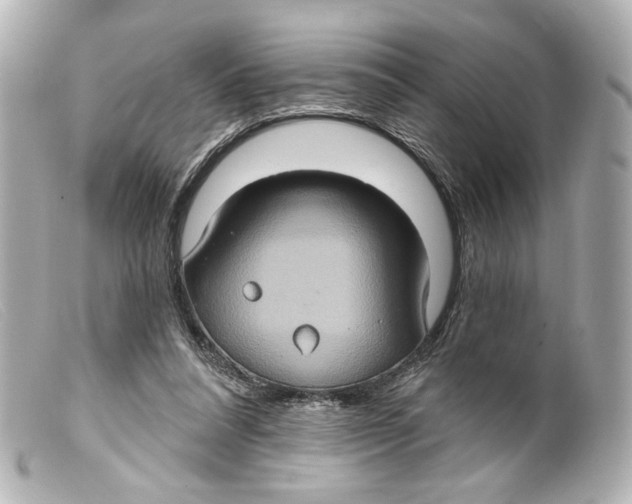 X0000099380304200805291134