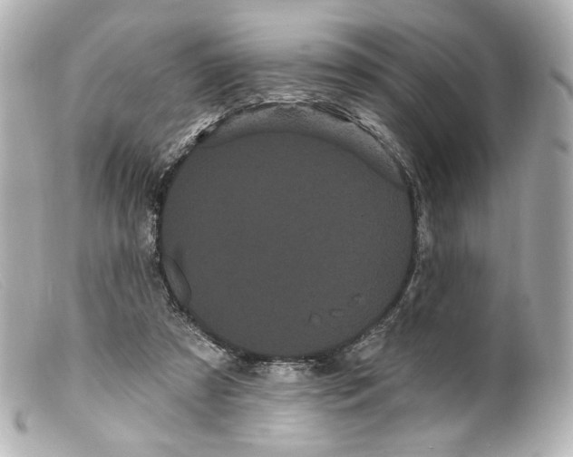 X0000099380305200805291134