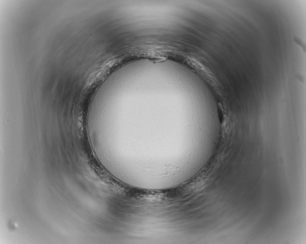 X0000099380306200805291134