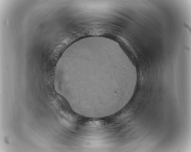 X0000099380307200805291134