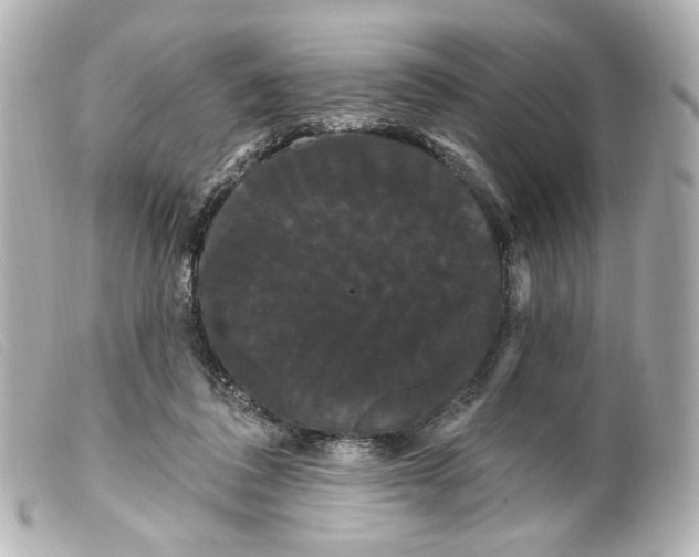 X0000099380308200805291134