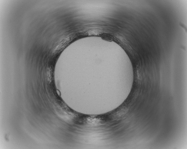 X0000099380311200805291134