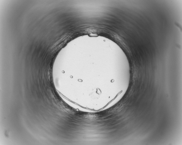 X0000099380313200805291134