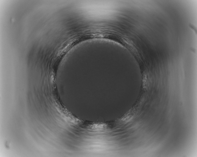 X0000099380314200805291134