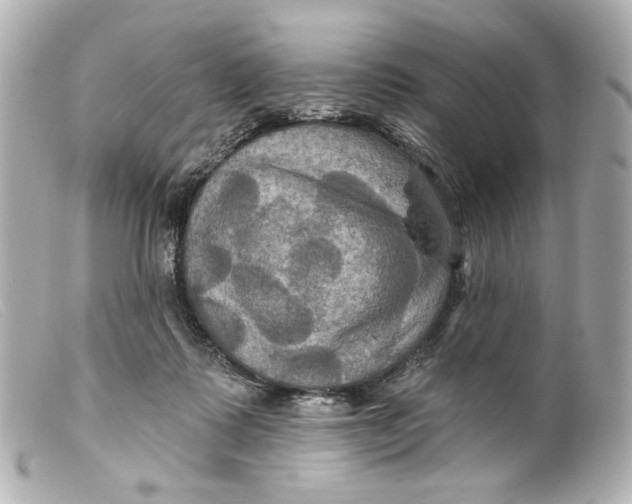 X0000099380315200805291134