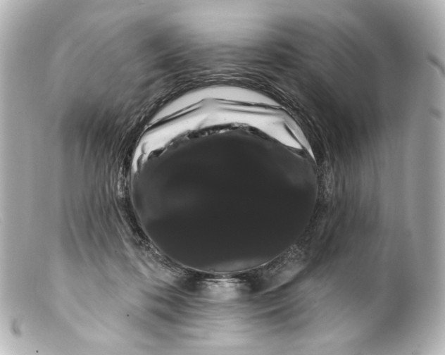 X0000099380316200805291134