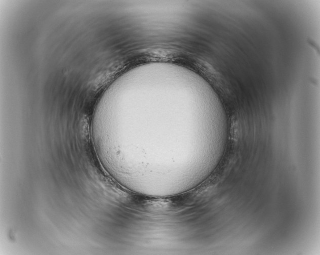 X0000099380318200805291134