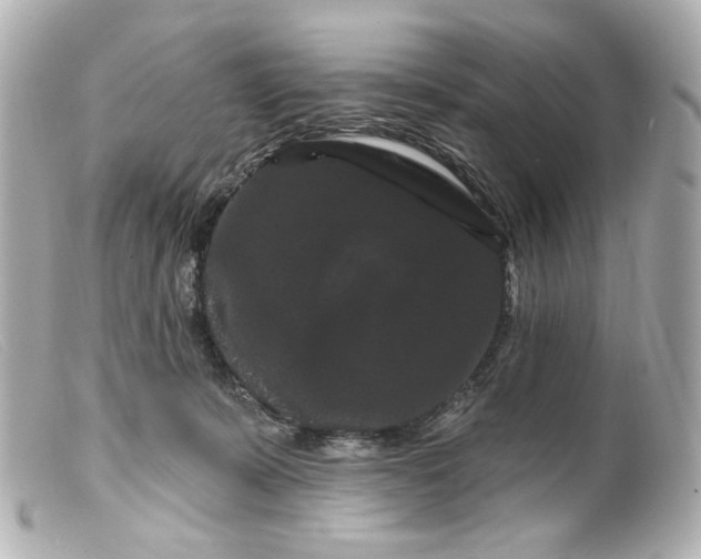 X0000099380319200805291134