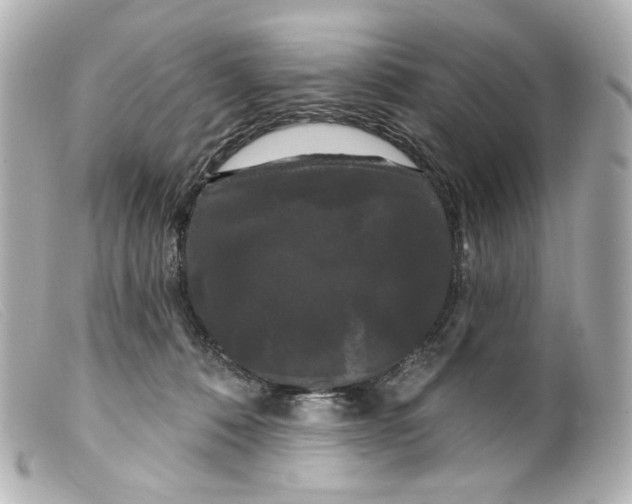 X0000099380320200805291134