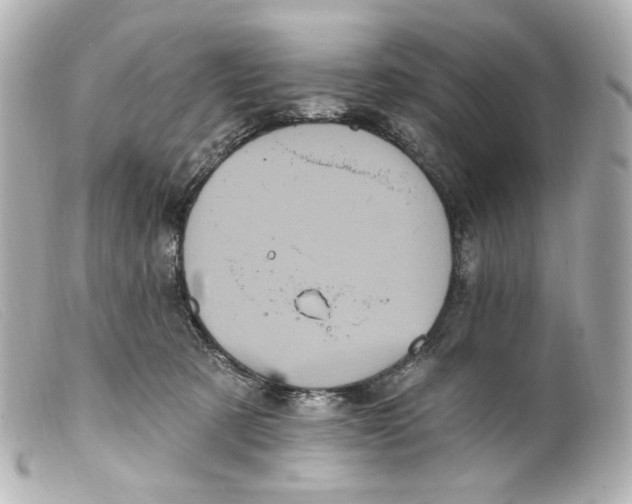 X0000099380321200805291134