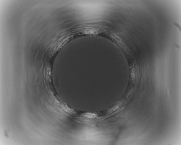 X0000099380322200805291134