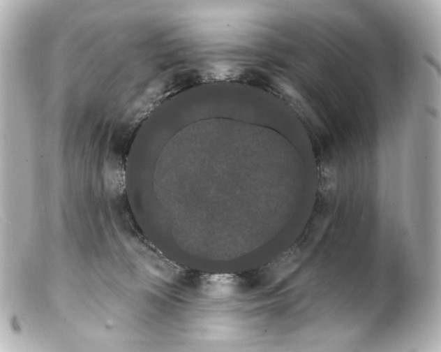 X0000099380324200805291134