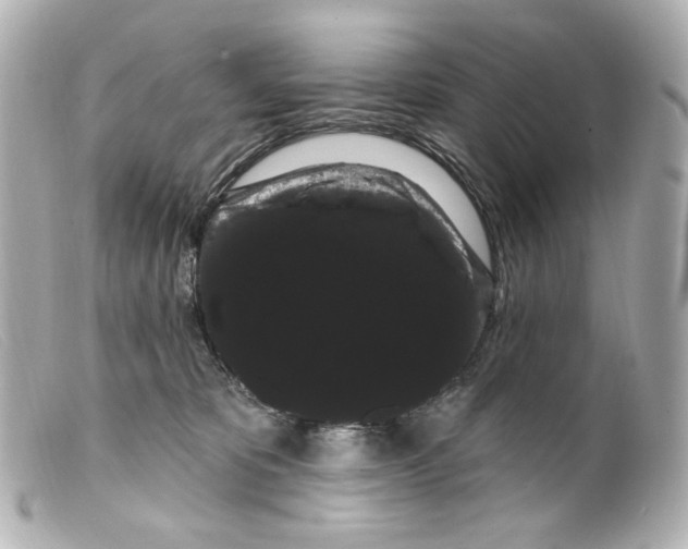 X0000099380325200805291134