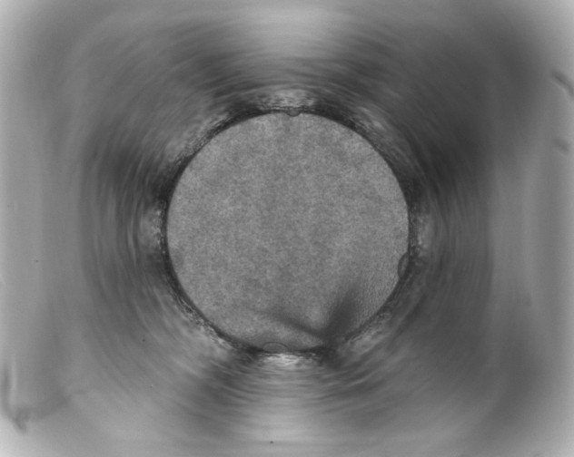 X0000099380326200805291134