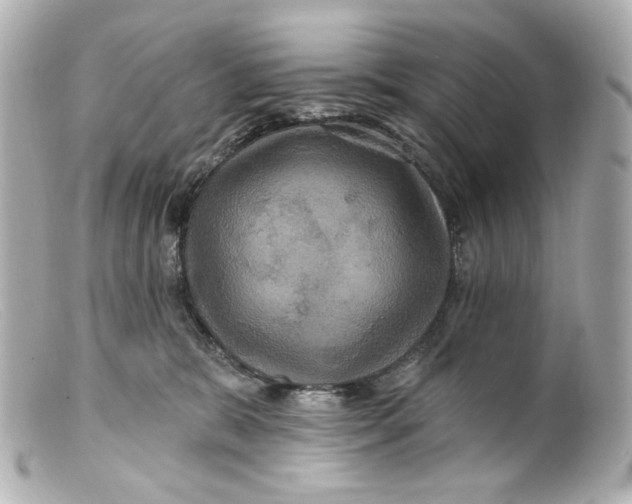 X0000099380327200805291134