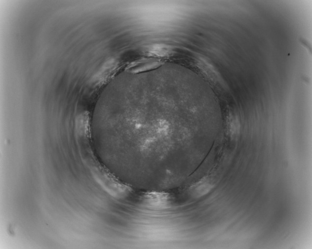 X0000099380328200805291134