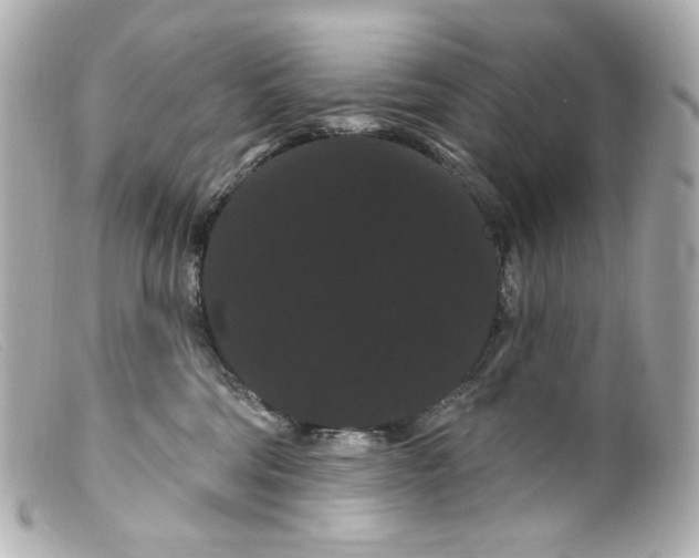 X0000099380330200805291134