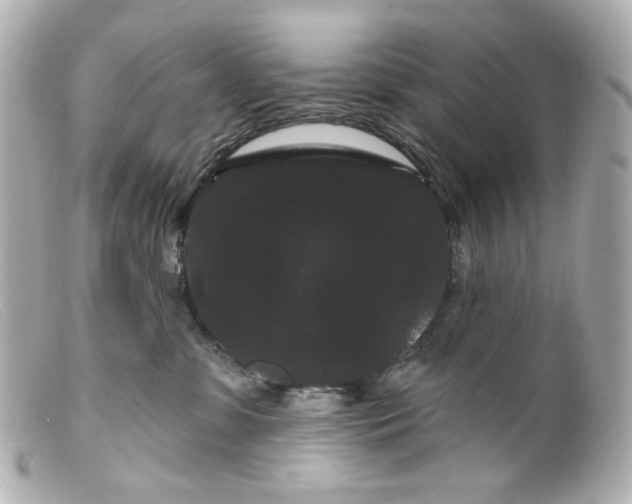 X0000099380331200805291134