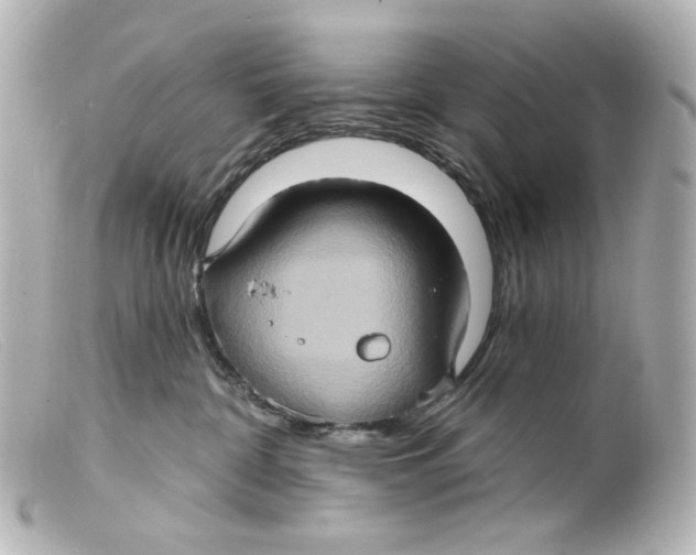 X0000099380332200805291134