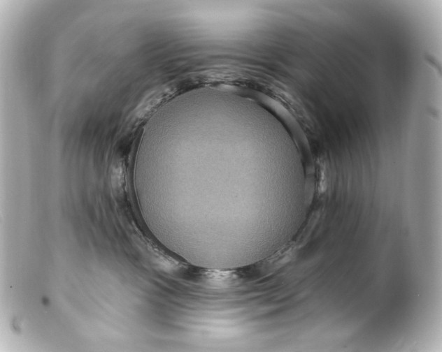 X0000099380333200805291134