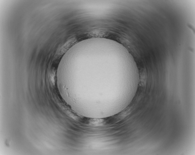 X0000099380334200805291134